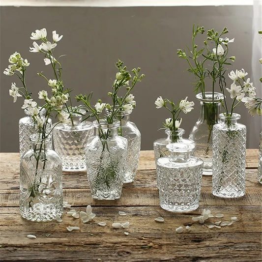 Transparent Glass Vase for Plant Nordic Simple Glass Flower Vases Creative Hydroponic Terrarium Table Decorative Flower Pot